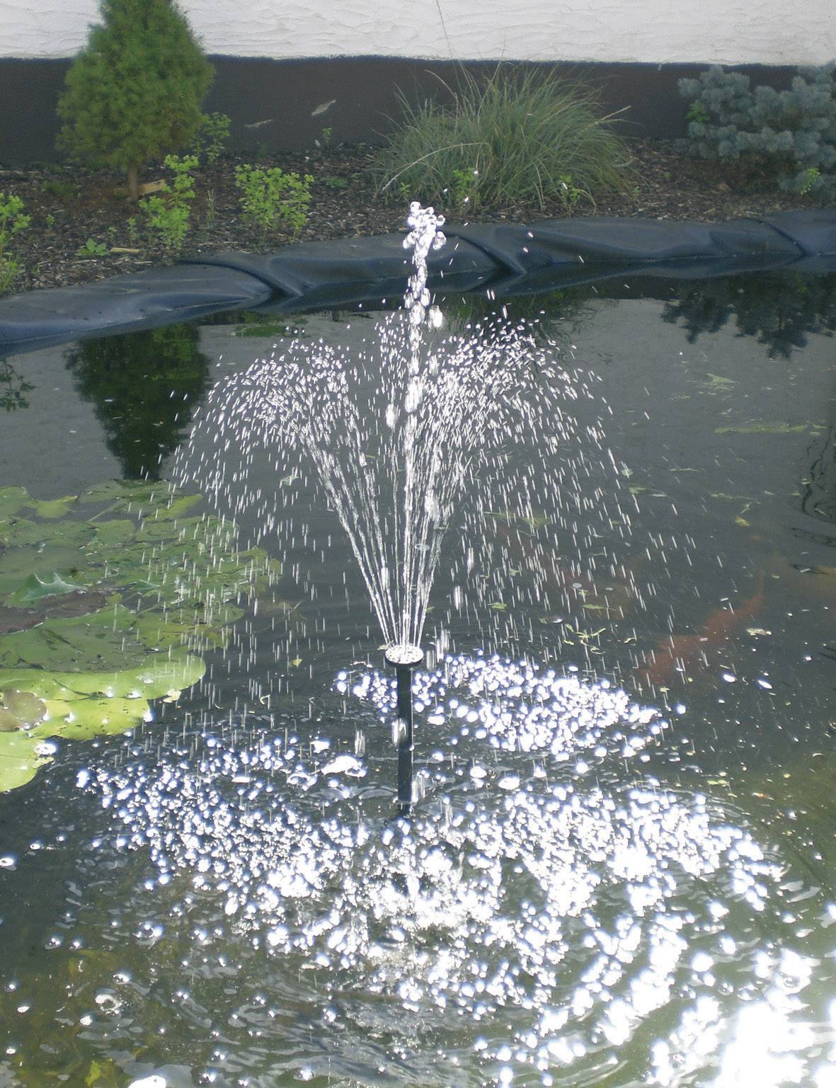 Fontaine dans l'étang avec des gouttelettes d'eau, entourée de nénuphars et de plantes au bord. Mise au point sur l'eau bouillonnante au centre.
