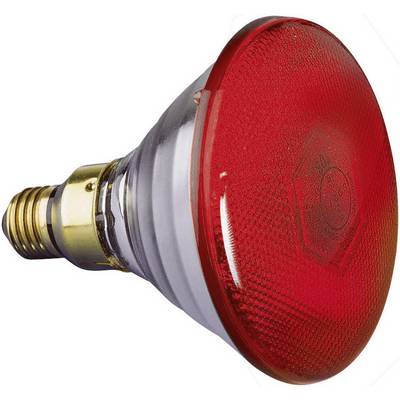Une ampoule rouge avec un culot à vis doré, adaptée à des utilisations d'éclairage spéciales ou pour des lampes chauffantes.