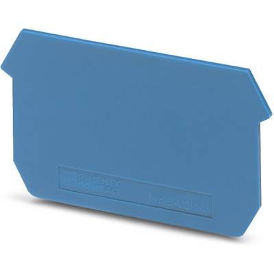 Outil en plastique bleu aux bords biseautés, potentiellement utilisé pour appliquer ou étaler des matériaux tels que de la colle ou de la peinture.