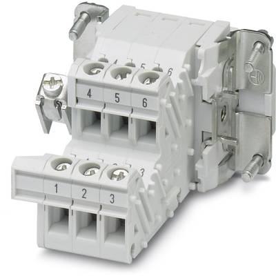 Un bloc de connexion électrique en plastique à six pôles, numéroté de 1 à 6, avec des vis latérales pour la fixation sur une surface.