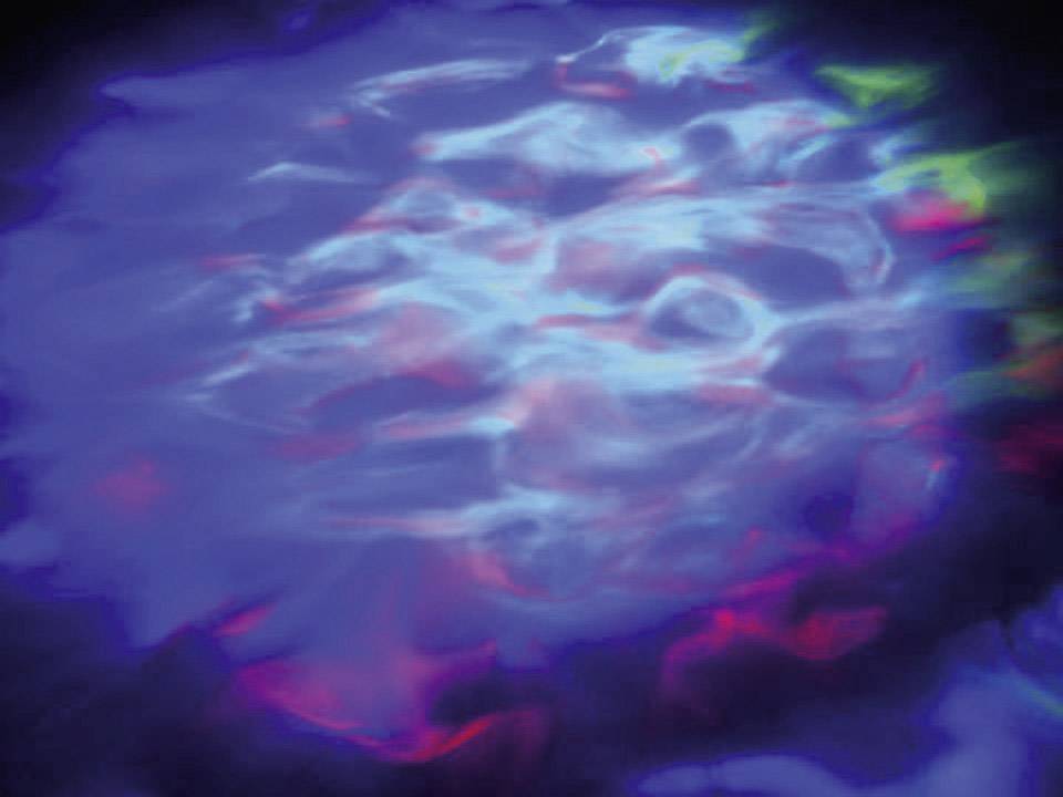 Eurolite 51915360 LED H2O Projecteur à effets LED DMX Nombre de LED (détails):1 x 9 W-2