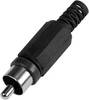 Cinch/RCA mâle, droit TRU COMPONENTS 595227 Nombre de pôles: 2 noir 1 pc(s)
