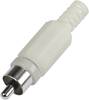 Cinch/RCA mâle, droit TRU COMPONENTS 595230 Nombre de pôles: 2 blanc 1 pc(s)