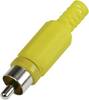 Cinch/RCA mâle, droit TRU COMPONENTS 595231 Nombre de pôles: 2 jaune 1 pc(s)