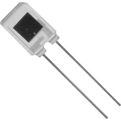 Condensateur à deux bornes, typique des circuits électroniques.