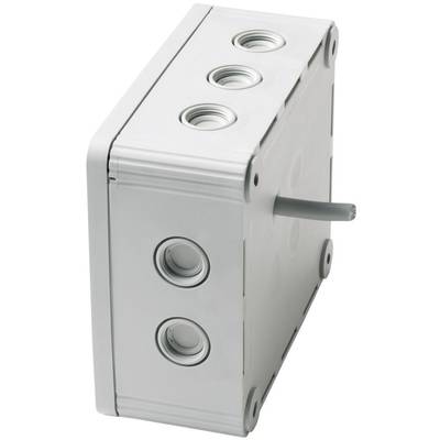 Boîtier de distribution électronique avec plusieurs ouvertures pour câbles, un câble connecté, adapté pour les installations électriques.
