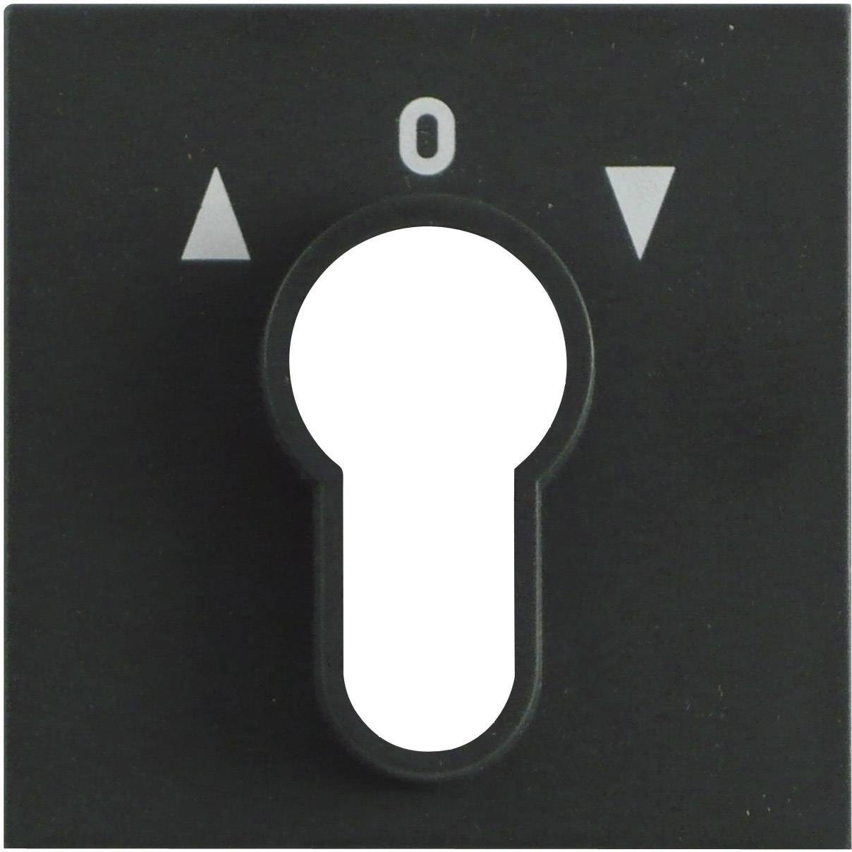 GIRA Gamme d'interrupteurs Cache Interrupteur à clé System 55, Standard 55, E2, Event, Event transparent, Event opaque, Esprit, ClassiX anthracite 1 pc(s)