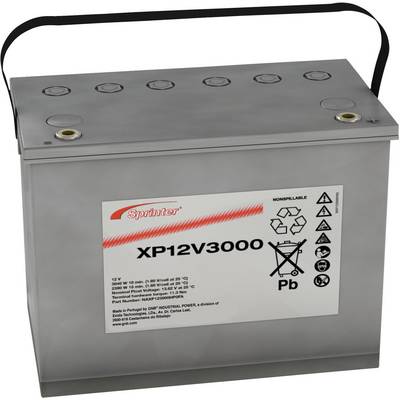 Une batterie de voiture argentée avec des poignées. L'étiquette indique 'Sprinter XP12V3000'. Des symboles de recyclage et l'indication de tension sont visibles.