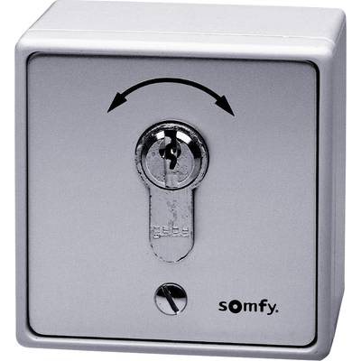 Somfy 9000021  Interrupteur à clé pour motorisation de portail   encastré, montage apparent (en saillie)