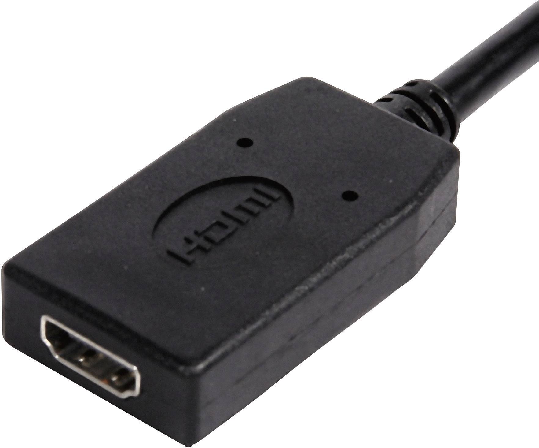 1 x displayport femelle