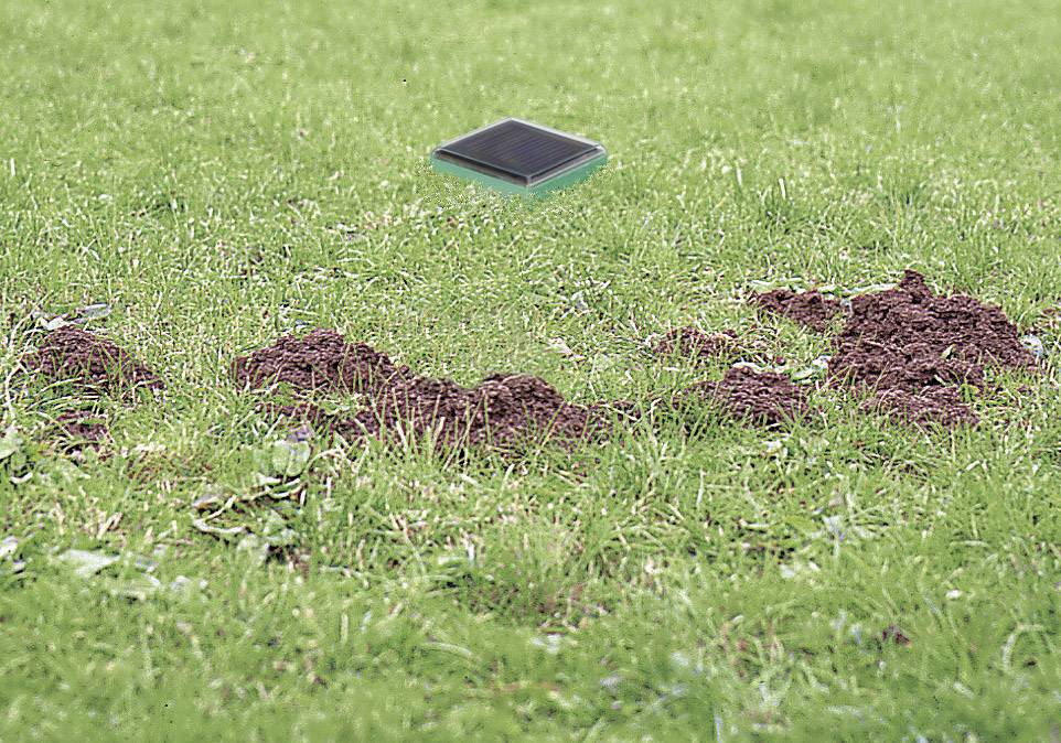 Répulseur de campagnols à vibration P7911 pour l'extérieur-1