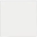 Jung Cache Interrupteur va-et-vient, Interrupteur, Interrupteur/inverseur LS 990, LS design, LS plus blanc-alpin LS 990