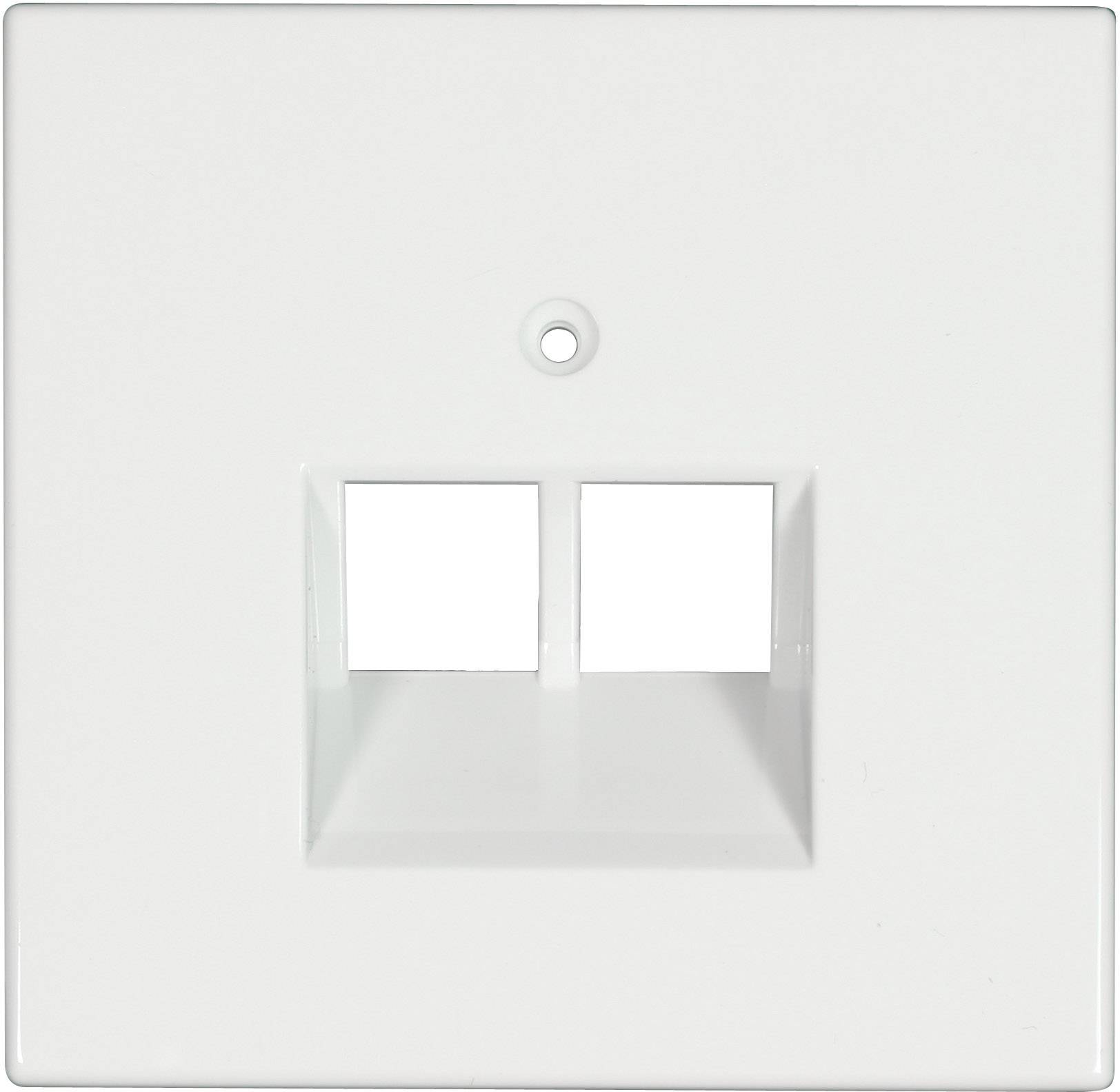 Plaque de protection blanche et carrée pour prise électrique, comportant deux ouvertures rectangulaires au centre. Elle est destinée à l'installation de modules de prises.