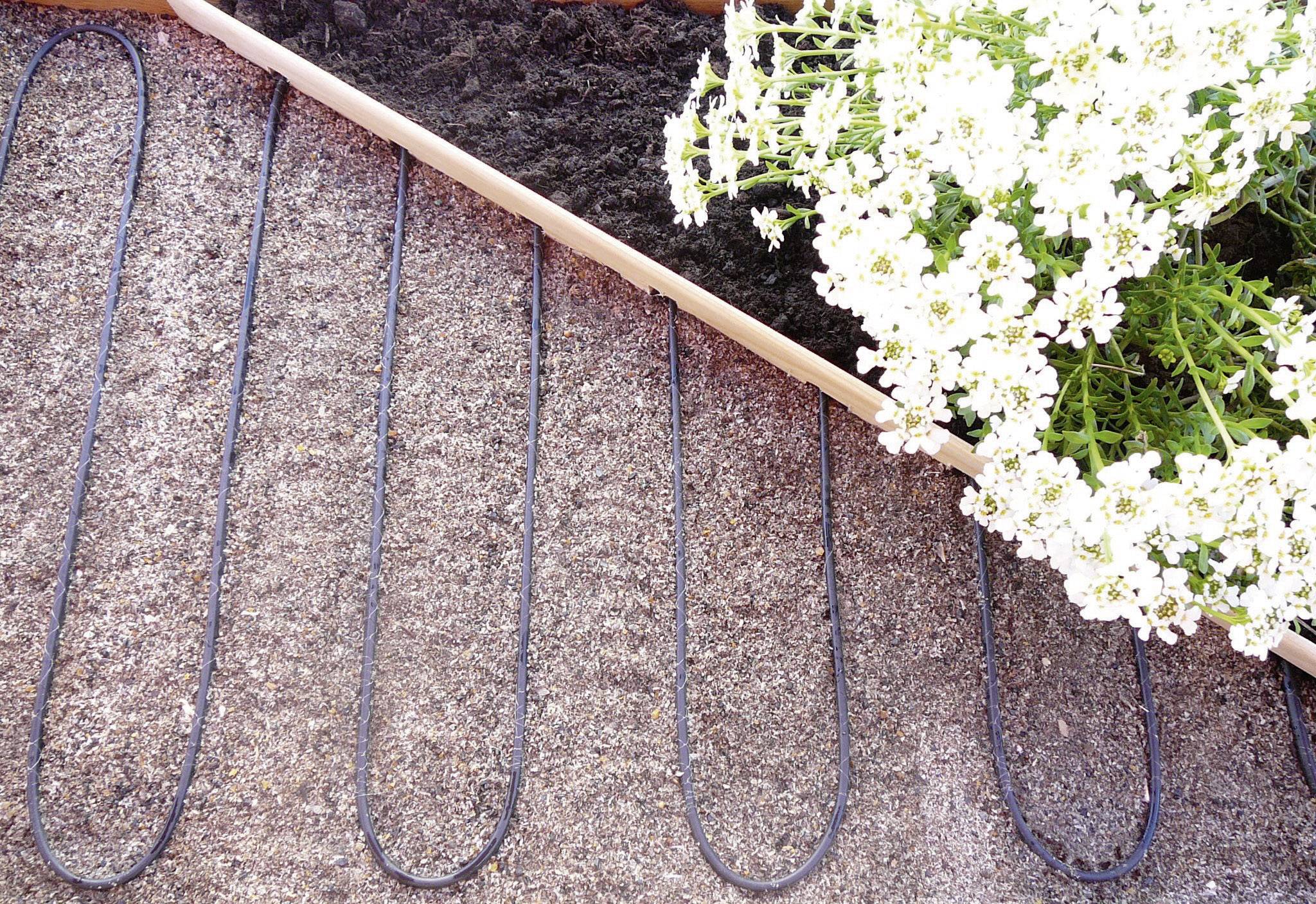 Un massif avec un serpentin de chauffage dans le sol et des fleurs blanches dans la partie supérieure droite, illustrant un chauffage efficace des plantes.