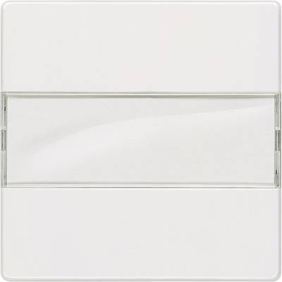 Plaque de prise électrique blanche, carrée, avec une bande transparente au centre. Design simple et minimaliste.