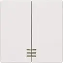 Cache Siemens 5TG6204 Delta blanc
