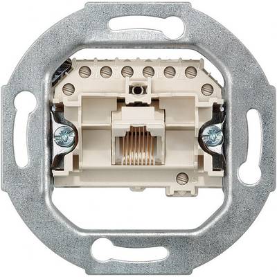 Une prise électrique murale en cadre métallique, avec des vis de fixation et des bornes de connexion visibles.