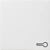 GIRA Cache Bascule symbole "clé" System 55, Standard 55, E2, Event, Event transparent, Event opaque, Esprit, ClassiX blanc pur, mat 028727 1 pc(s)