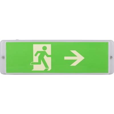 Panneau de sortie de secours avec pictogramme : silhouette d'une personne en cours de course, orientée vers une flèche pointant vers la droite sur fond vert, symbolisant la direction de fuite.