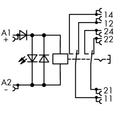 Circuit électrique : Des diodes, des résistances et des interrupteurs sont connectés. Bornes numérotées A1+, A2-, 11, 12, 14, 21, 22, 24.