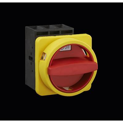 Sälzer B263-41300-033N4 Interrupteur sectionneur  63 A  1 x 90 ° jaune, rouge 1 pc(s) 