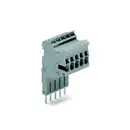 Bornier WAGO 2001-552 4.20 mm ressort de traction gris 25 pc(s)