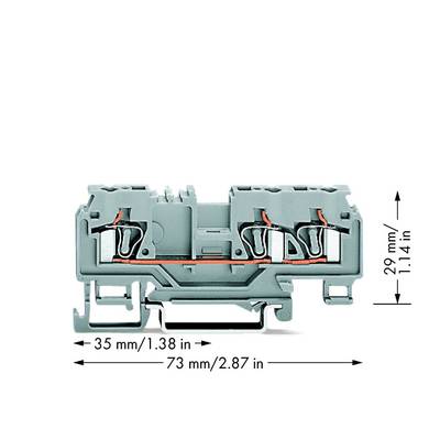 Borne de passage WAGO 880-681 5 mm ressort de traction Affectation: L gris 100 pc(s)