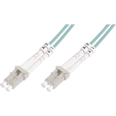 Deux câbles à fibre optique LC-LC duplex avec gaines bleues et connecteurs blancs. Chaque câble est numéroté pour faciliter son identification.