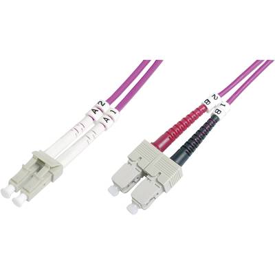 Deux câbles à fibre optique avec des connecteurs LC et SC, un connecteur LC blanc à gauche et un connecteur SC gris à droite.