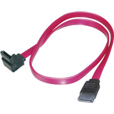 Un câble SATA rouge avec une fiche coudée et une fiche droite, utilisé pour connecter les disques durs à la carte mère d'un ordinateur.