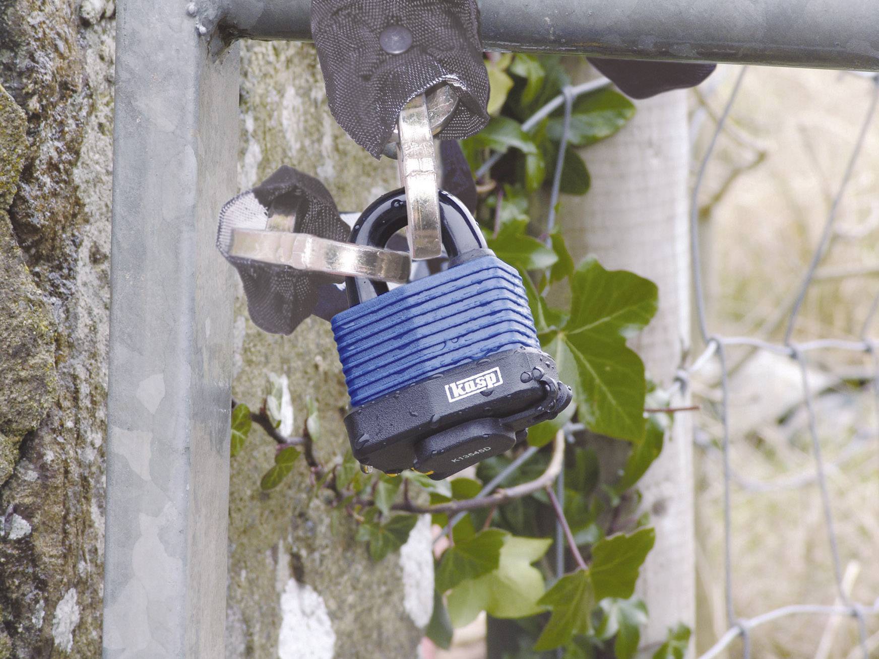 Un cadenas bleu sécurise un portail métallique entouré de lierre. Des plantes et une pierre sont visibles en arrière-plan.