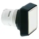 RAFI 1.30.070.501/0000 RAFIX 16 1.30.070.501/0000 Bouton-poussoir incolore, transparent 10 pc(s)