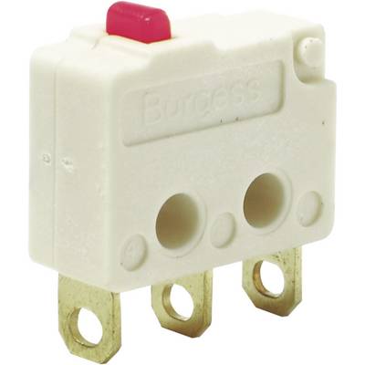 Un micro-interrupteur blanc avec un bouton-poussoir rouge et trois bornes dorées. Le texte 'Burgess' est gravé sur la surface.