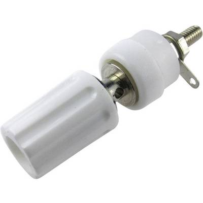 Un fiche banane blanc avec des vis métalliques, utilisé pour une connexion électrique sûre dans des environnements expérimentaux ou de laboratoire.