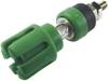 Borne de polarité Ø stylo (détails): 4 mm Cliff CL159740 vert 30 A 1 pc(s)