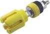 Borne de polarité Ø stylo (détails): 4 mm Cliff CL159775 jaune 30 A 1 pc(s)