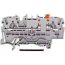 Bloc de jonction sectionnable WAGO 2002-1671 5.20 mm ressort de traction Affectation: L gris 1 pc(s)