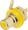 Cinch/RCA embase femelle, verticale Rean AV NYS367-4 Nombre de pôles: 2 jaune 1 pc(s)