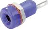 Embase femelle TRU COMPONENTS TC-R1-16A Ø de la broche: 4 mm TRU COMPONENTS TC-R1-16A Blue 1587886 bleu 1 pc(s)