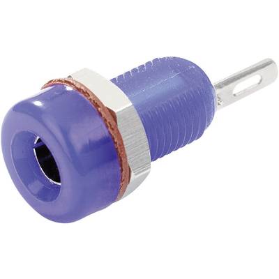 Bouton-poussoir électronique avec boîtier bleu et filetage métallique, broche de connexion métallique latérale. Utilisé dans les circuits de commutation.
