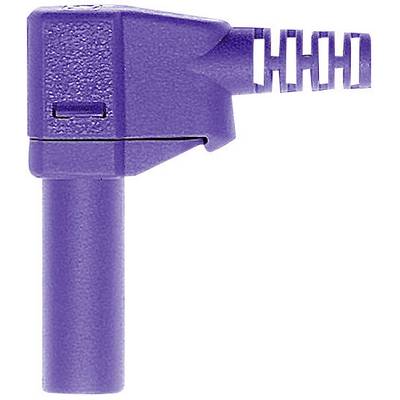 Buse de pulvérisation en plastique Lila avec raccord rectangulaire et petit tamis. Utilisée pour une distribution précise de liquides dans des applications industrielles.