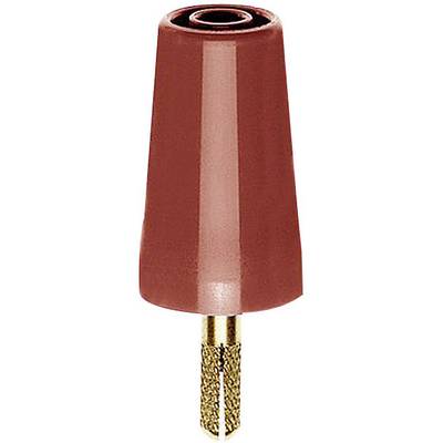 Embout de meulage en carbure de tungstène de couleur rouge, avec une forme conique et une tige métallique dorée. Utilisé typiquement pour la conception et le travail des ongles.