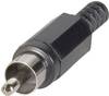 Cinch/RCA mâle, droit TRU COMPONENTS 1578854 Nombre de pôles: 2 jaune 1 pc(s)