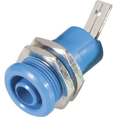 Fiche électronique bleue et argentée avec filetage à vis et languette de raccordement plate, adaptée aux connexions de câbles.