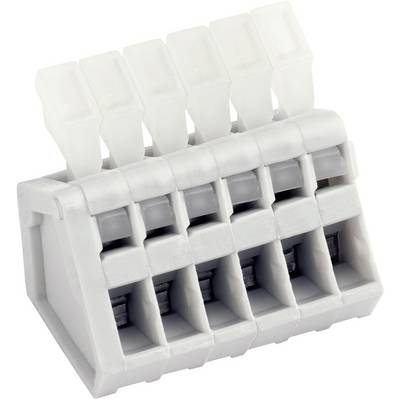 Un bloc de connexion à ressort blanc à cinq pôles pour connexions électriques. Adapté pour raccorder plusieurs câbles dans un appareil.