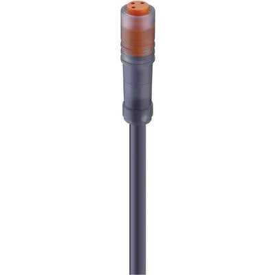 Un câble noir cylindrique avec un connecteur orange à une extrémité. Le connecteur dispose de trois trous.
