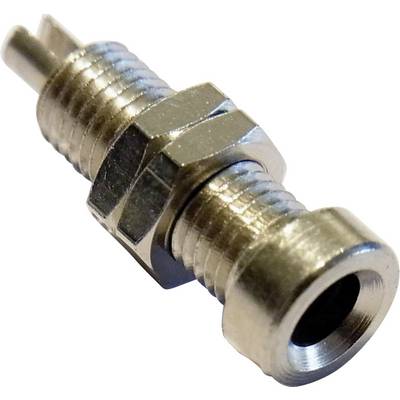 Une valve argentée, métallique, avec une tige striée et un écrou hexagonal, probablement un embout de valve de bicyclette.