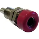 Douille banane Ø de la broche: 4 mm Schnepp 733857 vert 1 pc(s)