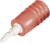 Un fiche banane rouge unique avec une pointe métallique, utilisée pour les connexions et les câblages électriques.