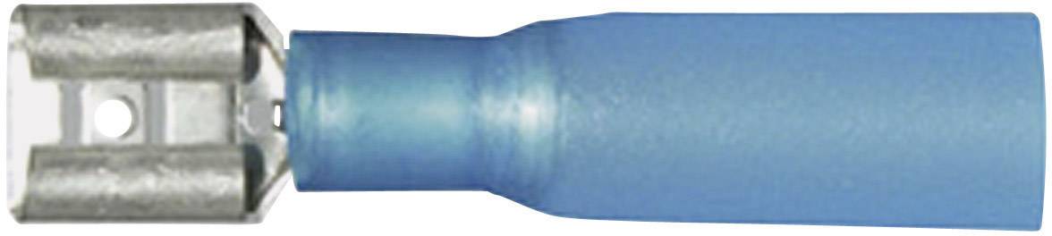 Cosse clip 6.3 mm x 0.8 mm Vogt Verbindungstechnik 3906h avec gaine thermorétractable 180 ° partiellement isolé bleu 1 p